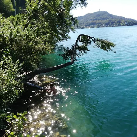 Haus Wolfgang Apartment