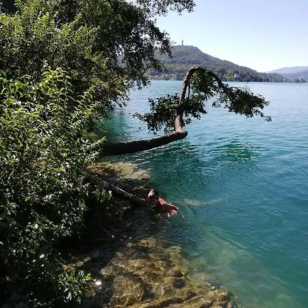 Apartment Haus Wolfgang *